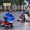 Ảnh minh họa. (Nguồn: TTXVN)