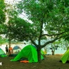 Cắm trại, ngủ lều trong không gian sinh thái hồ Trị An, Khu Bảo tồn Thiên nhiên-Văn hoá Đồng Nai. (Ảnh: Hồng Đạt/TTXVN)