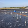 Ao nuôi tôm công nghệ cao, phương pháp hữu cơ, giảm lượng khí nhà kính phát thải từ quá trình nuôi trồng thủy sản của người dân tại xã Long Điền Đông (Đông Hải, Bạc Liêu). (Ảnh: Chanh Đa/ TTXVN)