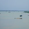 Sông Tiền. (Nguồn: TTXVN)