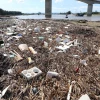 Suốt chiều dài hàng trăm mét trên diện tích bãi triều rộng lớn tại Cửa biển Lạch Vạn (thuộc địa phận xã Diễn Thành) đã bị rác mắc cạn, phủ kín và chất thành đống, thành lớp. (Ảnh: Xuân Tiến/ TTXVN)