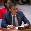 Đại sứ Đặng Hoàng Giang, Trưởng Phái đoàn Thường trực Việt Nam tại Liên hợp quốc. (Ảnh: Thanh Tuấn/TTXVN)
