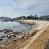 Sau khi được thu gom rác, khu vực bờ kè Đầm Nại đã sạch sẽ hơn. (Ảnh: Nguyễn Thành/TTXVN)
