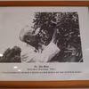 Chủ tịch Hồ Chí Minh đã để lại “dấu ấn xanh” trên Cây Hữu nghị năm 1959. (Ảnh: Duy Trinh/TTXVN)