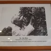 Chủ tịch Hồ Chí Minh đã để lại “dấu ấn xanh” trên Cây Hữu nghị năm 1959. (Ảnh: Duy Trinh/TTXVN)