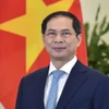 Bộ trưởng Ngoại giao Bùi Thanh Sơn có chuyến thăm chính thức Cộng hòa Ireland trong 2 ngày 28-29/2. (Ảnh: TTXVN/phát)