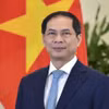 Bộ trưởng Ngoại giao Bùi Thanh Sơn có chuyến thăm chính thức Cộng hòa Ireland trong 2 ngày 28-29/2. (Ảnh: TTXVN/phát)