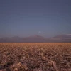 Bãi muối trên sa mạc Atacama tại nhà máy lithium Sociedad Química y Minera de Chile. (Nguồn: NRDC)