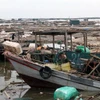 Tàu, lồng bè nuôi của người dân xã Tân An, thị xã Quảng Yên, bị hư hỏng nặng. (Ảnh: Văn Đức/TTXVN)