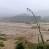 Khoảng 1.000ha lúa, cỏ chăn nuôi, ao cá tại 28 xã trên địa bàn huyện Thuận Châu bị ngập, nhiều căn nhà bị cuốn trôi, một số tuyến đường bị ngập, sạt lở. (Ảnh: TTXVN phát)