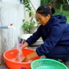 Người dân xã Mỹ Trạch (Bố Trạch, Quảng Bình) vui mừng khi được sử dụng nguồn nước sạch. (Ảnh: Tá Chuyên/TTXVN)