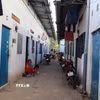 (Ảnh minh họa: TTXVN phát)