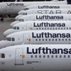 Máy bay của Hãng hàng không Lufthansa tại sân bay Frankfurt ở Frankfurt am Main, Đức. (Ảnh: AFP/TTXVN)