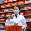 Sản phẩm thuốc y học cổ truyền của Việt Nam. (Ảnh: Hồng Đạt/TTXVN)