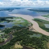 Brazil: Hạn hán khiến mực nước trên lưu vực sông Amazon xuống thấp kỷ lục