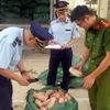 Lực lượng chức năng Lạng Sơn kiểm tra, thu giữ 7 tấn chân gà, móng giò đông lạnh không rõ nguồn gốc. (Ảnh: TTXVN phát)