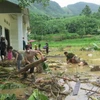 Người dân thôn Làng Nủ nỗ lực tìm người thân bị nạn sau lũ dữ. (Ảnh: Hồng Ninh -TTXVN)