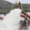 Bơm nước chống hạn cho hoa màu. (Ảnh minh họa: Phạm Cường/TTXVN)