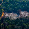 Khoảng rừng Amazon bị chặt phá tại Altamira, bang Para, Brazil. (Ảnh: AFP/TTXVN)