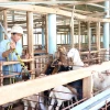 Một trang trại nuôi dê an toàn sinh học, thích ứng biến đổi khí hậu tại Tiền Giang. (Ảnh: Hữu Chí/TTXVN)