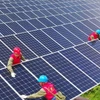 Trung Quốc trở thành nhà đầu tư chuyển đổi năng lượng lớn nhất thế giới