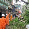 Cây trên phố Vũ Hữu (quận Thanh Xuân, Hà Nội) bị đổ làm gãy cột điện. (Ảnh: Linh Khánh-TTXVN)