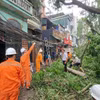 Cây trên phố Vũ Hữu (quận Thanh Xuân, Hà Nội) bị đổ làm gãy cột điện. (Ảnh: Linh Khánh-TTXVN)