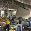 Video hành khách hoảng loạn trên chuyến bay bị sự cố nhiễu động