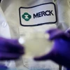 Hãng Merck kiện Chính phủ Mỹ về chương trình đàm phán giá thuốc
