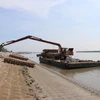 Tiền Giang: Nỗ lực khôi phục rừng phòng hộ, bảo vệ đê biển Gò Công