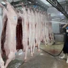 Làm sạch thịt lợn trước khi đưa vào chế biến tại nhà máy của Công ty Cổ phần Công nghệ thực phẩm Vinh Anh (huyện Thường Tín, Hà Nội). (Ảnh: Vũ Sinh/TTXVN)