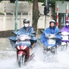 Từ chiều tối 24 đến sáng 26/6, Bắc Bộ có mưa vừa, mưa to, có nơi mưa rất to. (Ảnh: An Đăng/TTXVN)