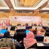 Toàn cảnh cuộc đối thoại ASEAN-Nhật Bản trong lĩnh vực du lịch. (Ảnh: Cục Du lịch quốc gia)