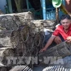 Làng nghề lợp của ở Đồng Tháp. (Ảnh: Chương Đài/TTXVN)