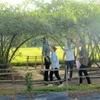 Du khách đến tham quan địa điểm du lịch vườn táo ở huyện Gò Công Đông, tỉnh Tiền Giang. (Ảnh: Hữu Chí/TTXVN)