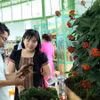 Sản phẩm sâm Ngọc Linh trưng bày. (Ảnh: Trần Tĩnh/TTXVN)