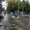 Mưa lớn kéo dài kết hợp triều cường gây ngập cục bộ một số tuyến đường khu vực đô thị nội ô thành phố Vĩnh Long, chiều 16/10/2024. (Ảnh: Phạm Minh Tuấn/TTXVN)