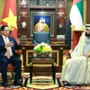 Thủ tướng Phạm Minh Chính hội đàm với Phó Tổng thống, Thủ tướng UAE Sheikh Mohammed bin Rashid Al Maktoum. (Ảnh: Dương Giang/TTXVN)