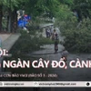 Hàng ngàn cây đổ, gãy cành tại Hà Nội, nhiều tuyến phố bị chia cắt sau bão số 3