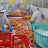 Chuyên gia UOB nhận định triển vọng phía trước của Việt Nam vẫn tích cực nhưng cần thận trọng hơn. (Ảnh: Vietnam+)