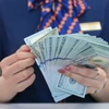 Giá USD ngân hàng đồng loạt tăng mạnh 100 đồng, vượt mốc 25.000 đồng. (Ảnh: Vietnam+)