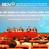 BIDV thông qua phương án tăng vốn điều lệ lên trên 70.000 tỷ đồng. (Ảnh: Vietnam+)