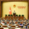 Các đại biểu Quốc hội tại hội trường. (Nguồn: TTXVN) 
