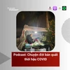 [Podcast] Chuyện đời bán quất thời hậu COVID