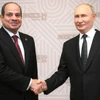 Tổng thống Nga Vladimir Putin và Tổng thống Ai Cập Abdelfattah Sisi tại lễ gặp mặt của Trưởng đoàn các nước BRICS. (Nguồn: website Tổng thống Nga)