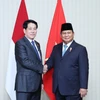 Chủ tịch nước Lương Cường gặp Tổng thống Indonesia Prabowo Subianto. (Ảnh: Lâm Khánh/TTXVN)