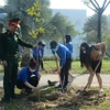 Chỉ thị số 03: Góp sức trồng 1 tỷ cây xanh, vì một Việt Nam xanh