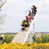 Du khách tham quan du lịch tại cồn Phụng, xã Tân Thạch, huyện Châu Thành, tỉnh Bến Tre. (Ảnh: Huỳnh Phúc Hậu/TTXVN)