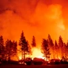 Một vụ cháy rừng ở Foresthill, bang California (Mỹ). (Ảnh: AFP/TTXVN)