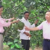 Nhiều mô hình sinh kế hiệu quả được hình thành từ nguồn vốn tín dụng chính sách. (Ảnh: Tường Vi/TTXVN)